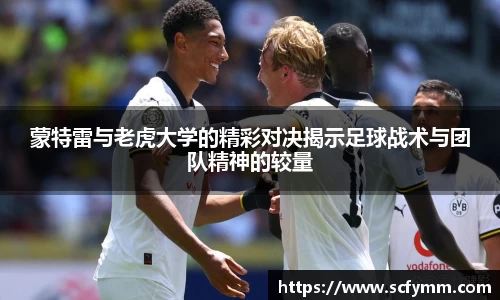 乐动LDSports体育