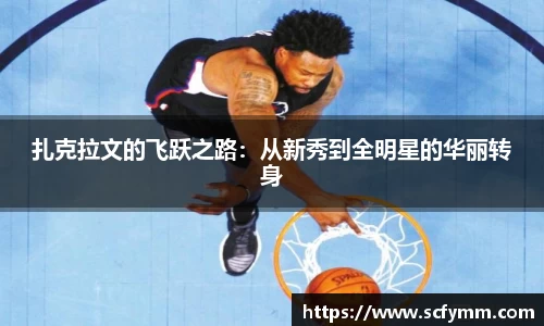 乐动LDSports官网